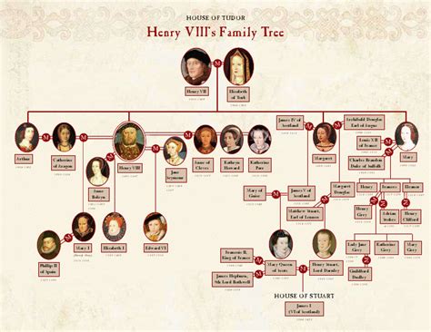 tudor genealogy tree|tudor family tree identification.